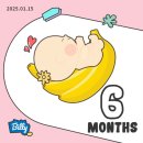 👶🏻임신 19~21주차 일상 :: 입덧 끝 속쓰림 시작, 생일주간💕