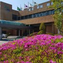 태백시농업기술센터 이미지