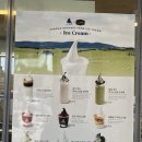 블루샥 서울양평역점 | [양평역 카페] 블루샥 서울양평역점 | 블루샥차코랩 콜라보 굿즈 텀블러