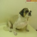 종로-종로-종로-종-119 이미지