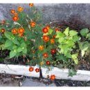 운천3리 이미지