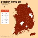 맘스터치전남 이미지