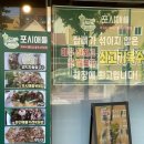 포시애틀 이미지