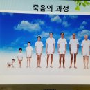 웰다잉 교육전문지도자 이미지