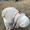 방탄유도관 이미지