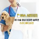 쓰리디비전 이미지