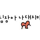 뜰에가득flower 이미지