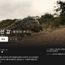 여정 | 다큐멘터리 천산갑 : 쿨루의 여정 후기