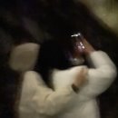 하리웃 이미지