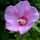 광주 당구 아카데미 이미지