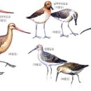 동숙목장 이미지