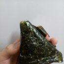 꽃참치