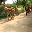 재순농장 이미지