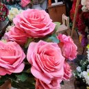 밥숟가락 이미지