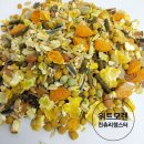 옥수수 펫샵 이미지