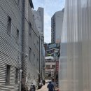 금난의 집 이미지