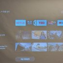 메르시하도 이미지