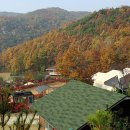 행복한마을 옆 이미지