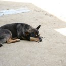 연가리맑은터 이미지