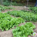 원터농장 이미지