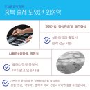 인클래식음악학원 이미지