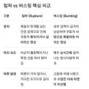 럽쳐(rupture) vs 버스팅(bursting) 이미지
