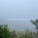 봉래약국 이미지