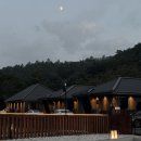 스테이펫 이미지