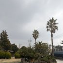 제주 행복스케치 펜션 | 제주 중문 가성비 숙소 [ 행복 스케치 펜션 ] 또또또간집♥ 6만원대 숙소