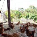 구심농장 이미지