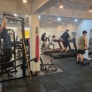 매일핏 이미지