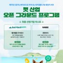 주식회사 제주펫 이미지