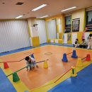 아이짐&박사태권도 이미지