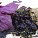 한민농장 이미지