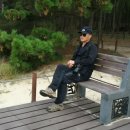 BEST | 태안 가볼만한곳 BEST 후기 정리｜직접 다녀보고 판단한 여행 기준