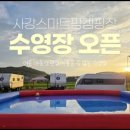 사강그릇