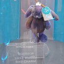 도그럭스 이미지