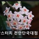 맘스터치천안단국대점