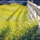 라온컴퓨터 이미지