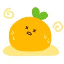 최성희SB발란스앤라인 이미지