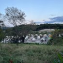 여주-0411 | 【캠핑장 리뷰】 캠퍼디 / 여주 캠핑장 / 타프 있는 곳!! / 비 오는 날 추천 🌈☂