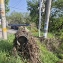 매화파출소 이미지