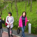 햇빛목장 이미지