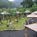 피그스토리 이미지