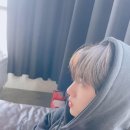 마이지니