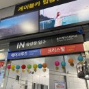 2025 지소세정 부산여행