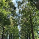 나도코리아 | 나도 핸드아티코리아 다녀왔다! 하지만 후기사진없음을 곁들인..