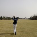 TOP 스포츠 이미지