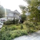 이오네스크 이미지