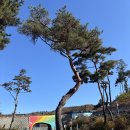 5673 | 경주 겨울여행 가볼만한곳 루지월드 이색체험 후기